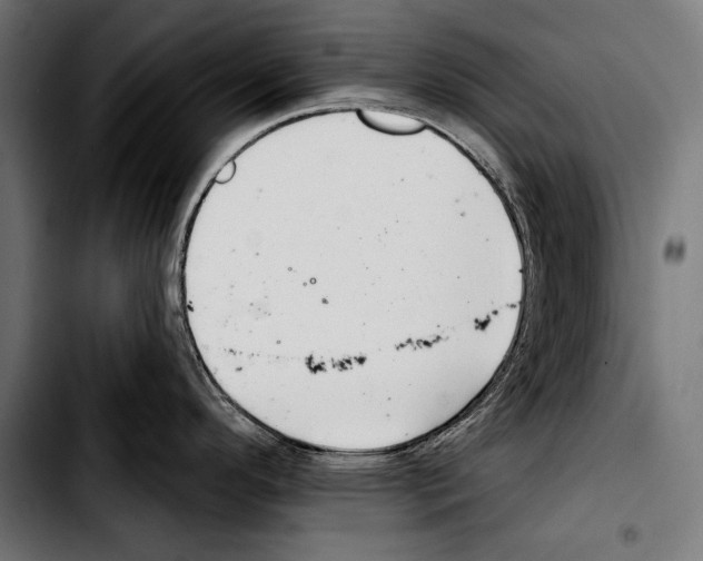 X0000103321296200810171353
