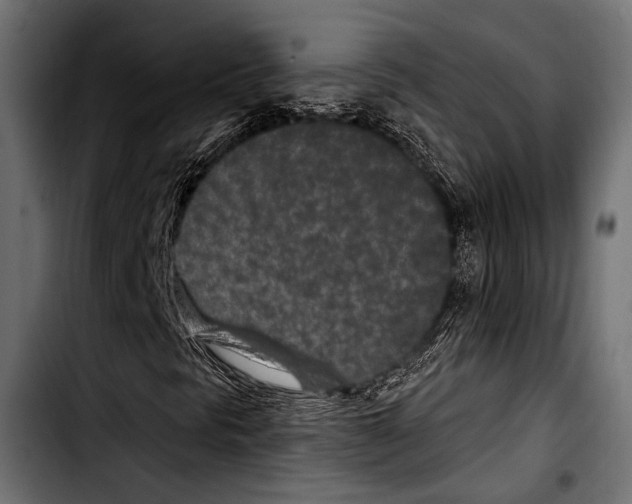 X0000103321297200810171352