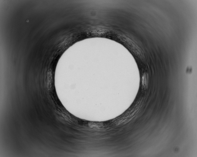 X0000103321299200810171352