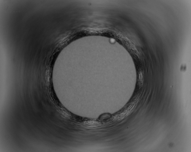 X0000103321300200810171352
