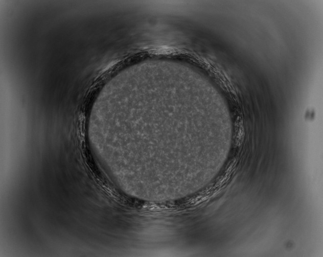X0000103321301200810171352