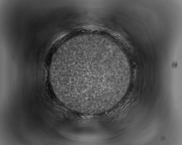 X0000103321302200810171352