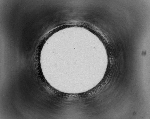 X0000103321304200810171352