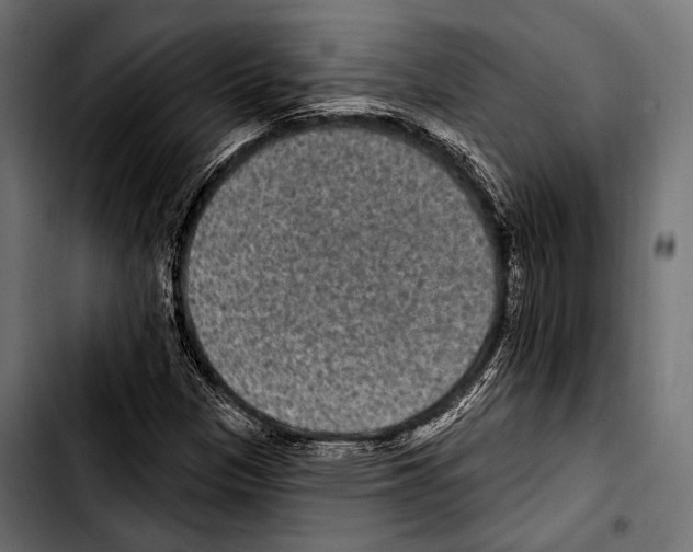 X0000103321305200810171352