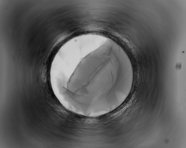 X0000103321306200810171352