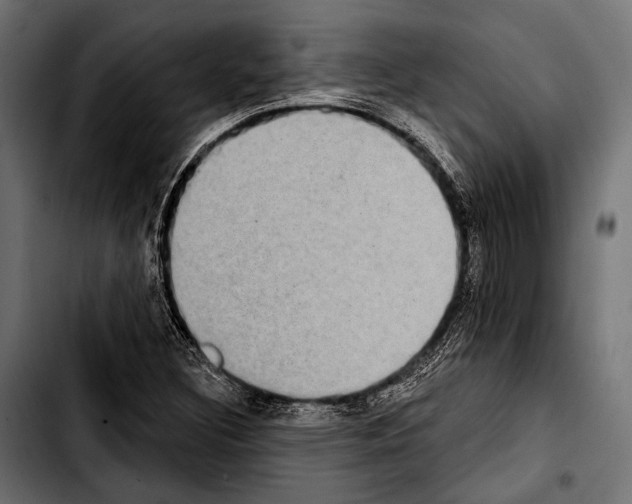 X0000103321308200810171352
