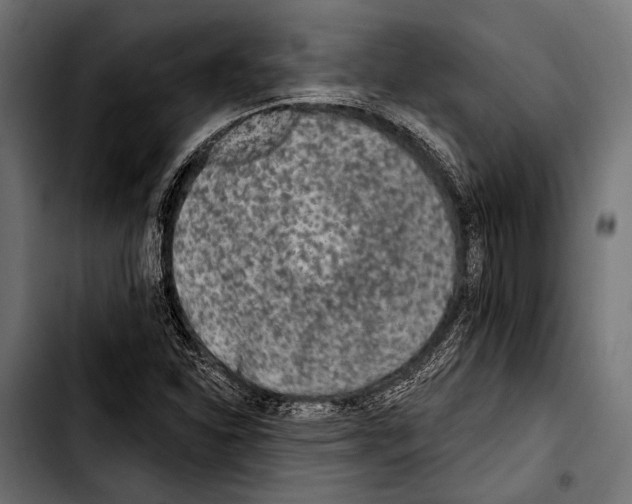 X0000103321310200810171352