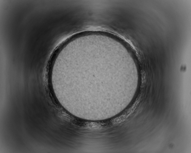 X0000103321311200810171352