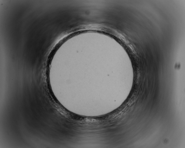X0000103321312200810171352