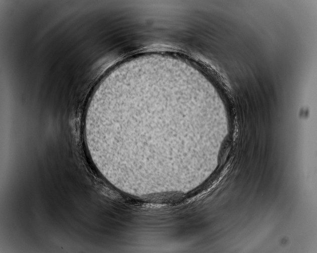 X0000103321313200810171352