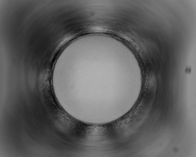 X0000103321314200810171352