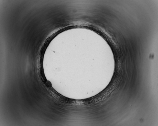 X0000103321315200810171352