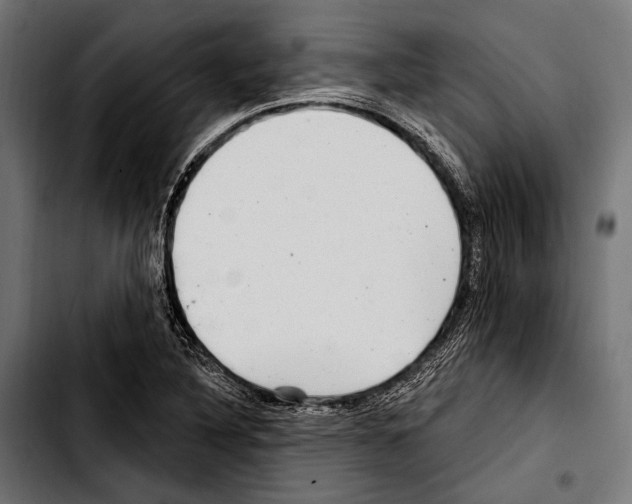 X0000103321316200810171352