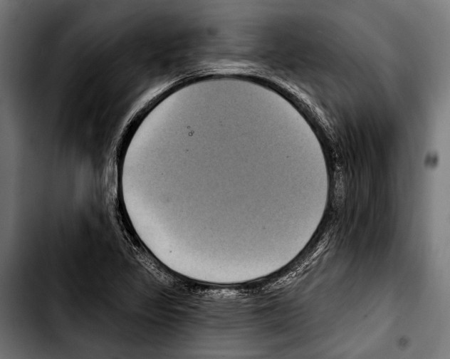 X0000103321317200810171352