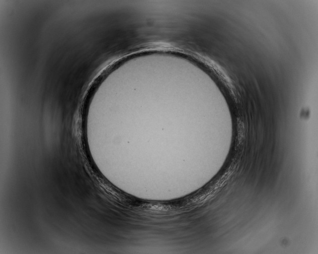 X0000103321318200810171352