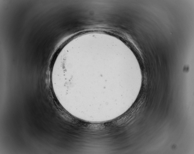 X0000103321320200810171352