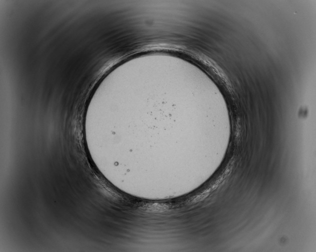 X0000103321321200810171352