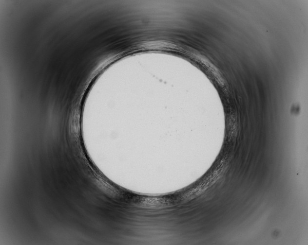 X0000103321322200810171352