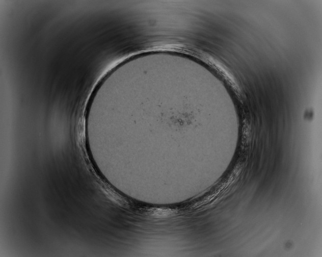 X0000103321324200810171352