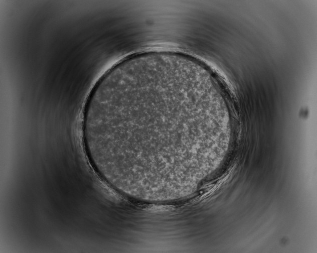 X0000103321325200810171352