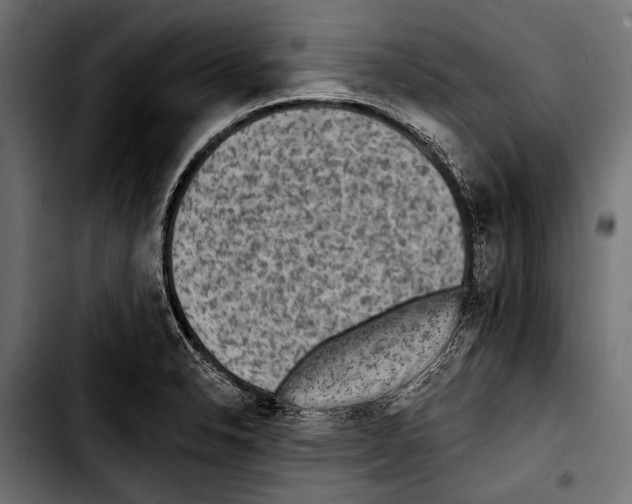 X0000103321326200810171352