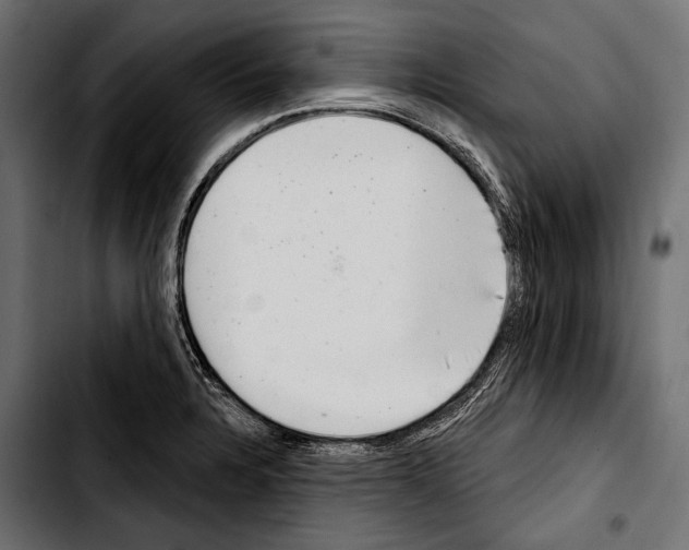 X0000103321328200810171352