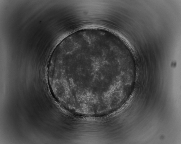 X0000103321329200810171352