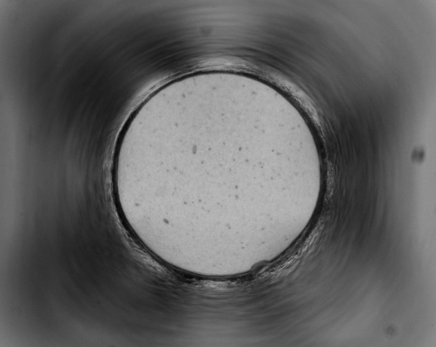 X0000103321330200810171352
