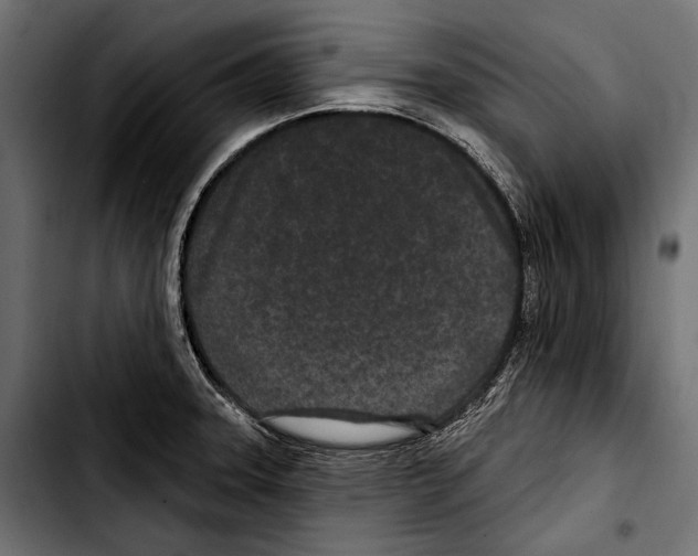 X0000103321331200810171352