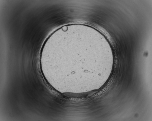 X0000103321332200810171352