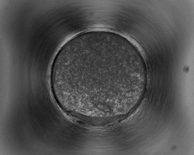 X0000103321333200810171353