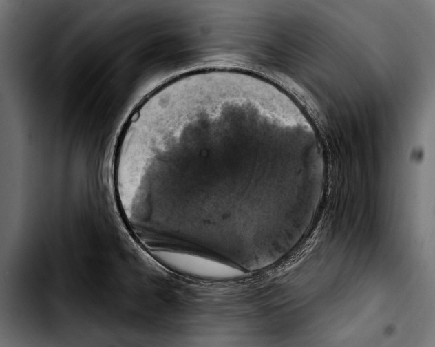 X0000103321334200810171353