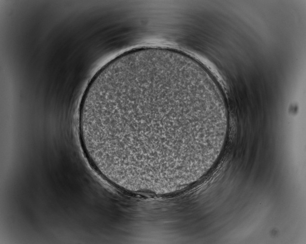 X0000103321335200810171353