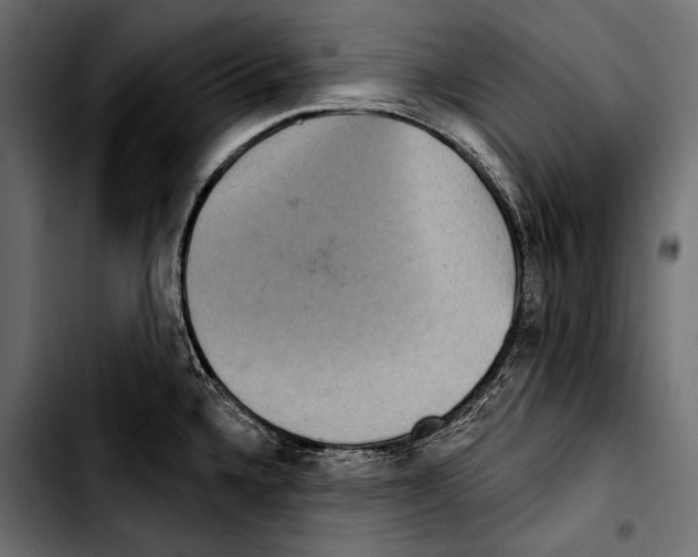 X0000103321336200810171353