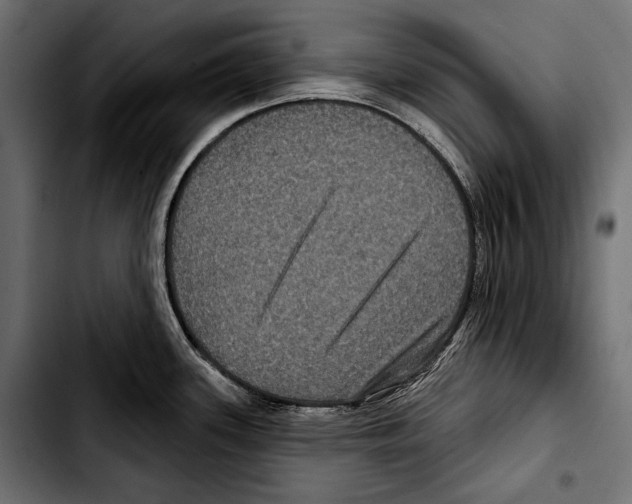 X0000103321339200810171353