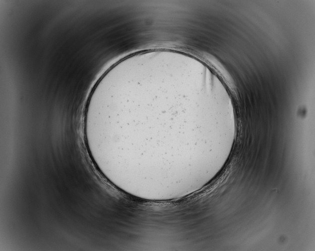 X0000103321340200810171353