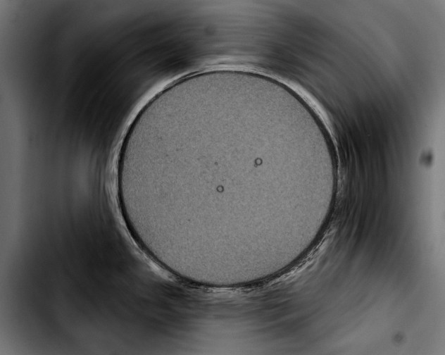 X0000103321341200810171353