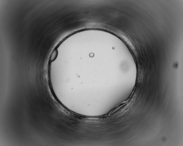 X0000103321342200810171353