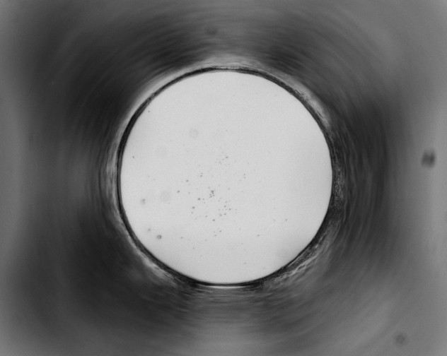 X0000103321343200810171353