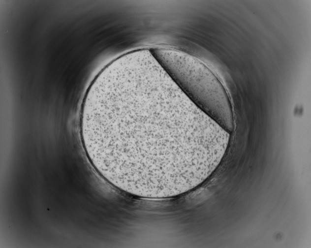 X0000103321344200810171353