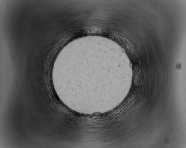 X0000103321345200810171352