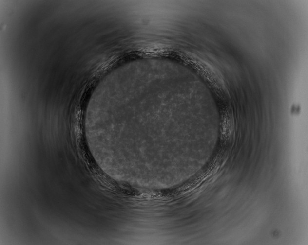 X0000103321346200810171352