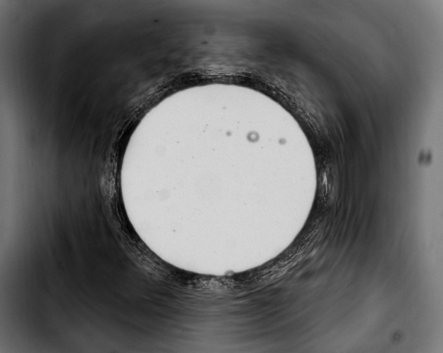 X0000103321348200810171352
