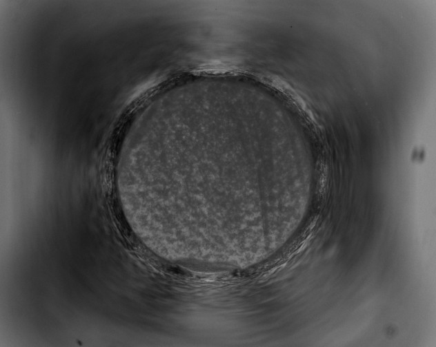 X0000103321350200810171352