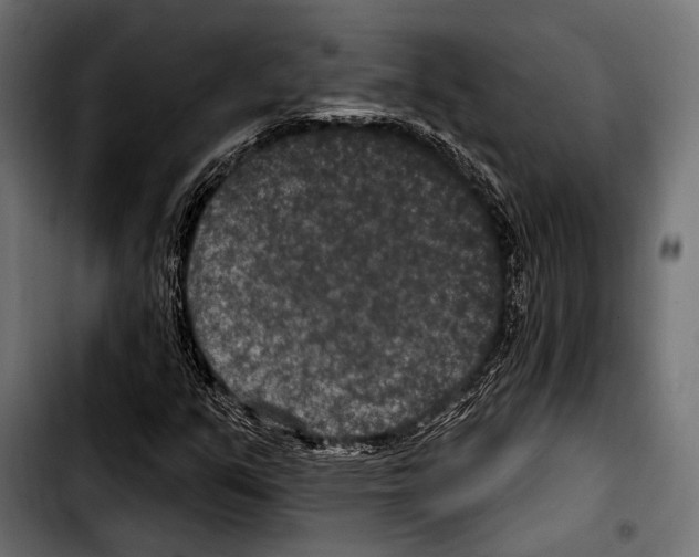 X0000103321351200810171352