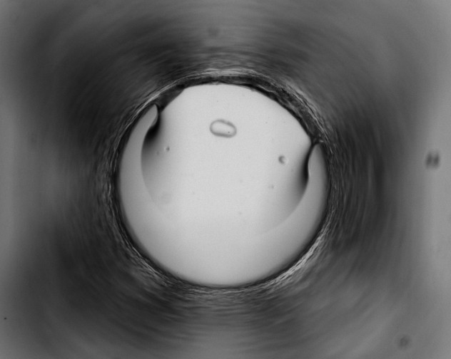 X0000103321353200810171352