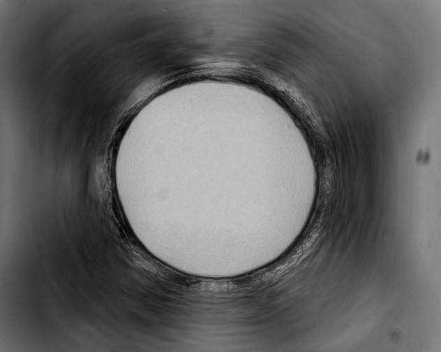 X0000103321354200810171352