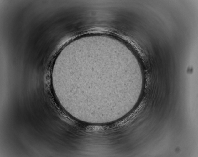 X0000103321355200810171352