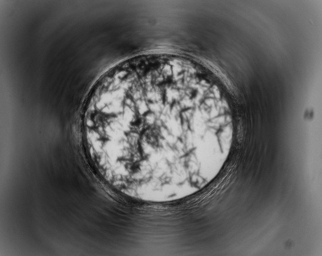 X0000103321356200810171352