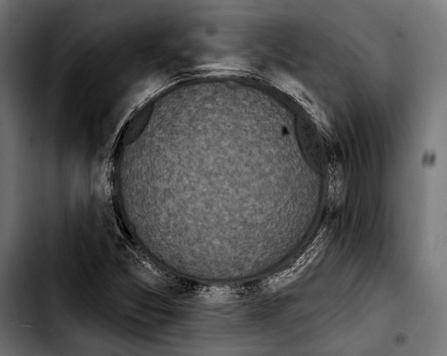 X0000103321357200810171352